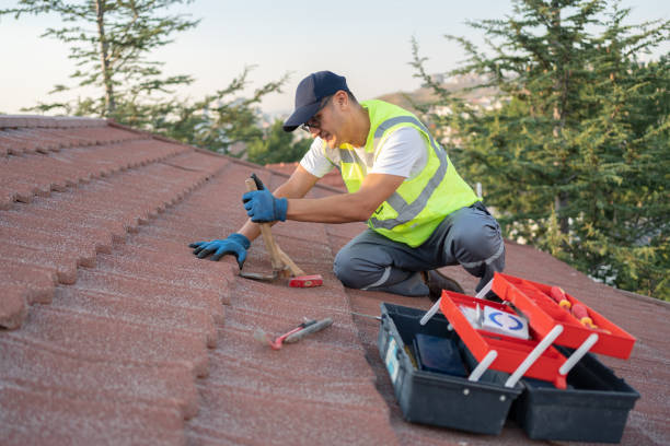 Best Roof Repair Services  in Sullivan, IL